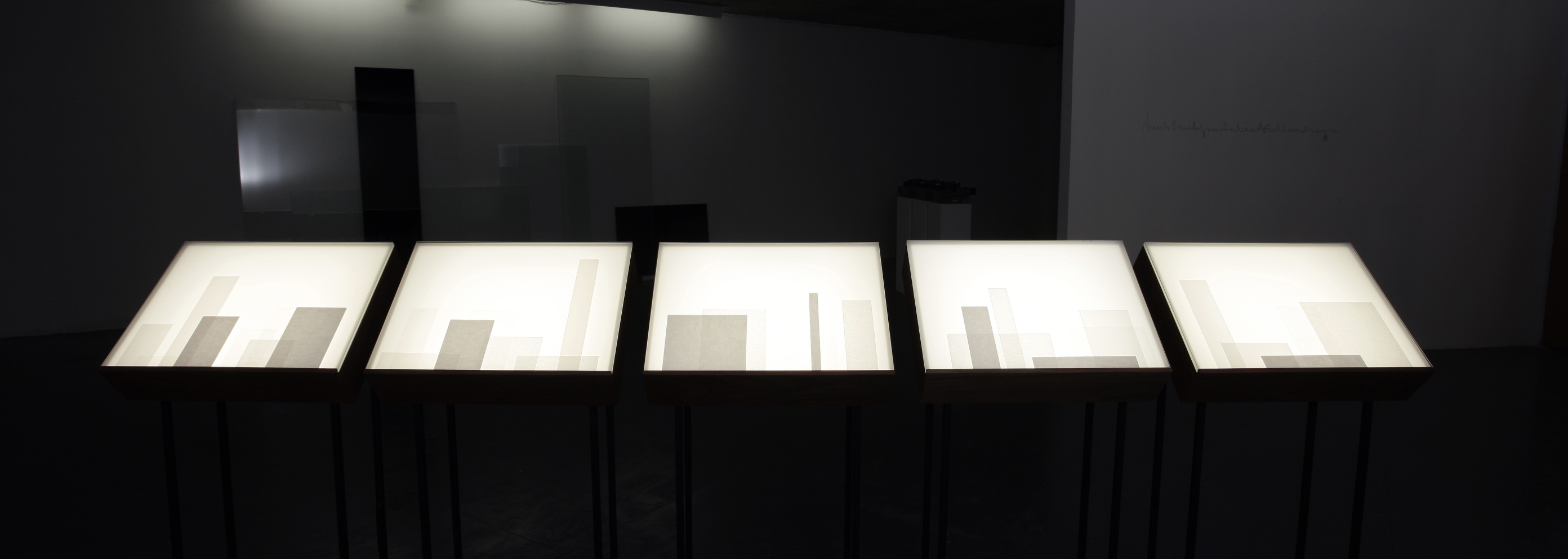 Sin título (Cajas de luz), 2010 : Francisco Ugarte