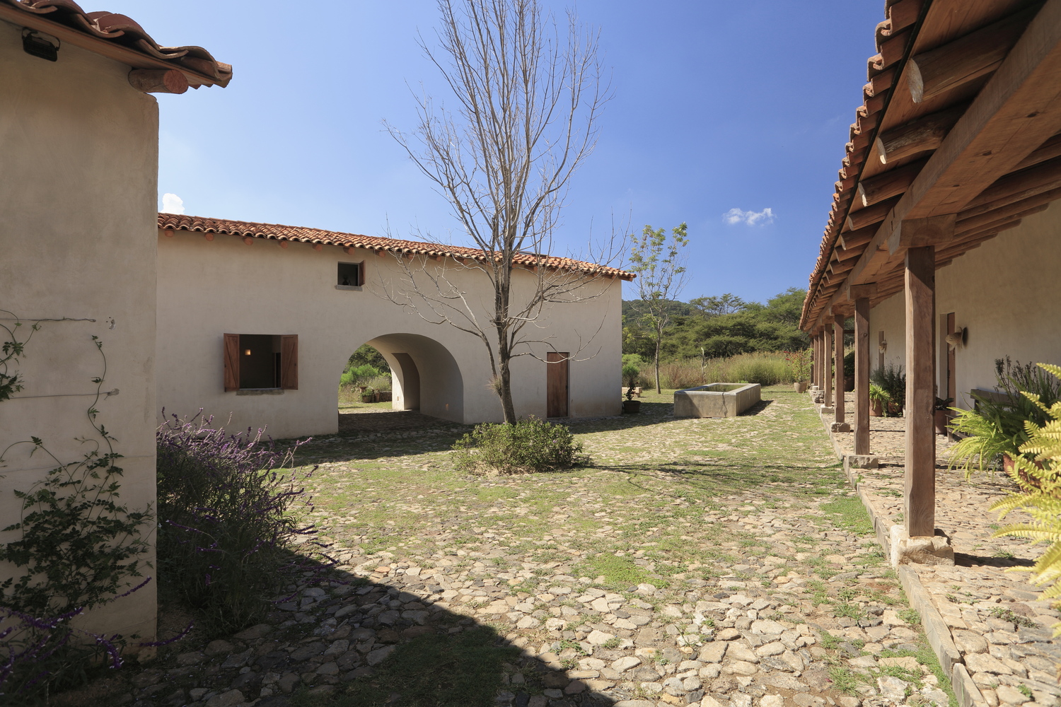 Las Tunas, 2023 : Francisco Ugarte