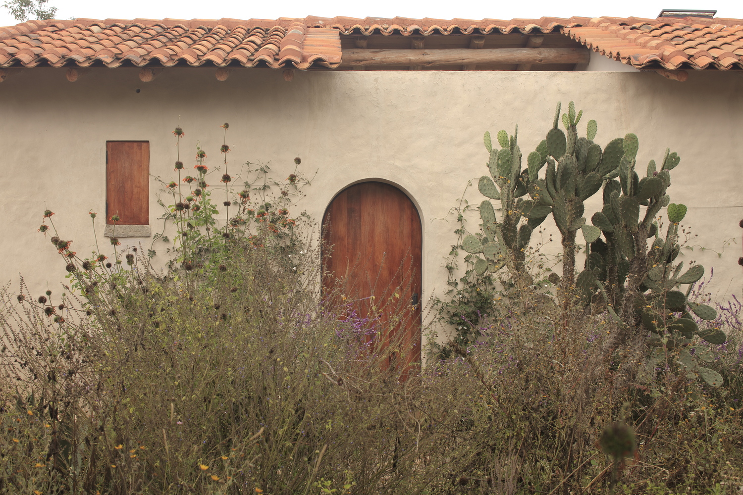 Las Tunas, 2023 : Francisco Ugarte