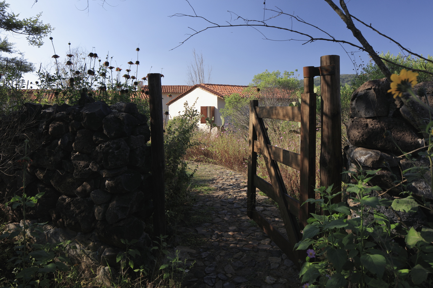 Las Tunas, 2023 : Francisco Ugarte