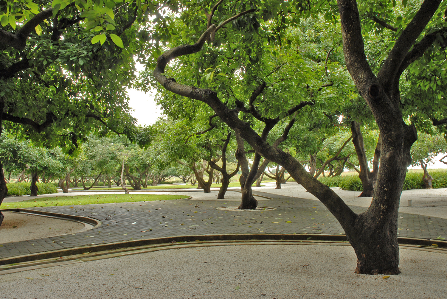 Parque Aguacates, 2005-2006 : Francisco Ugarte