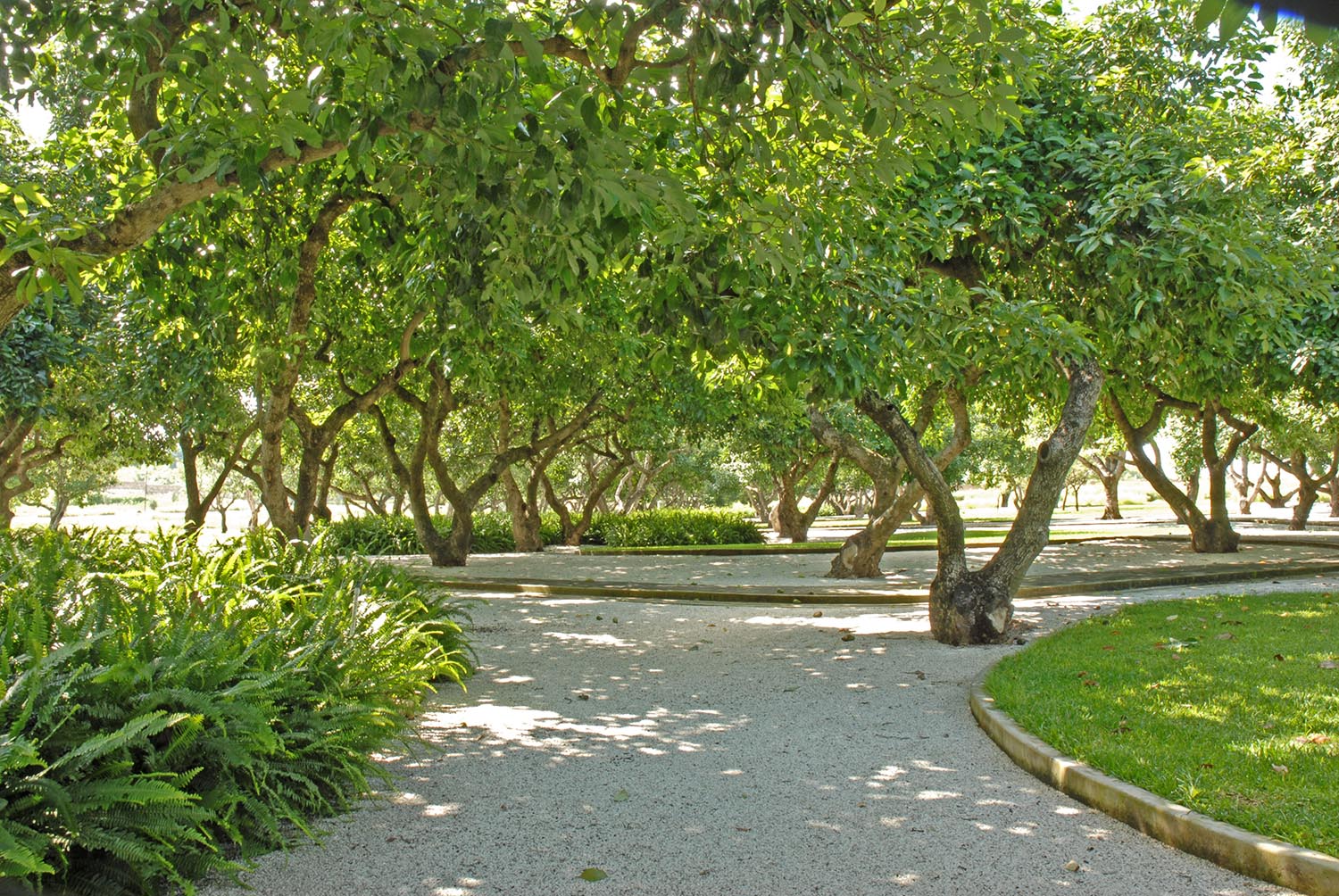 Obra Construida : Francisco Ugarte