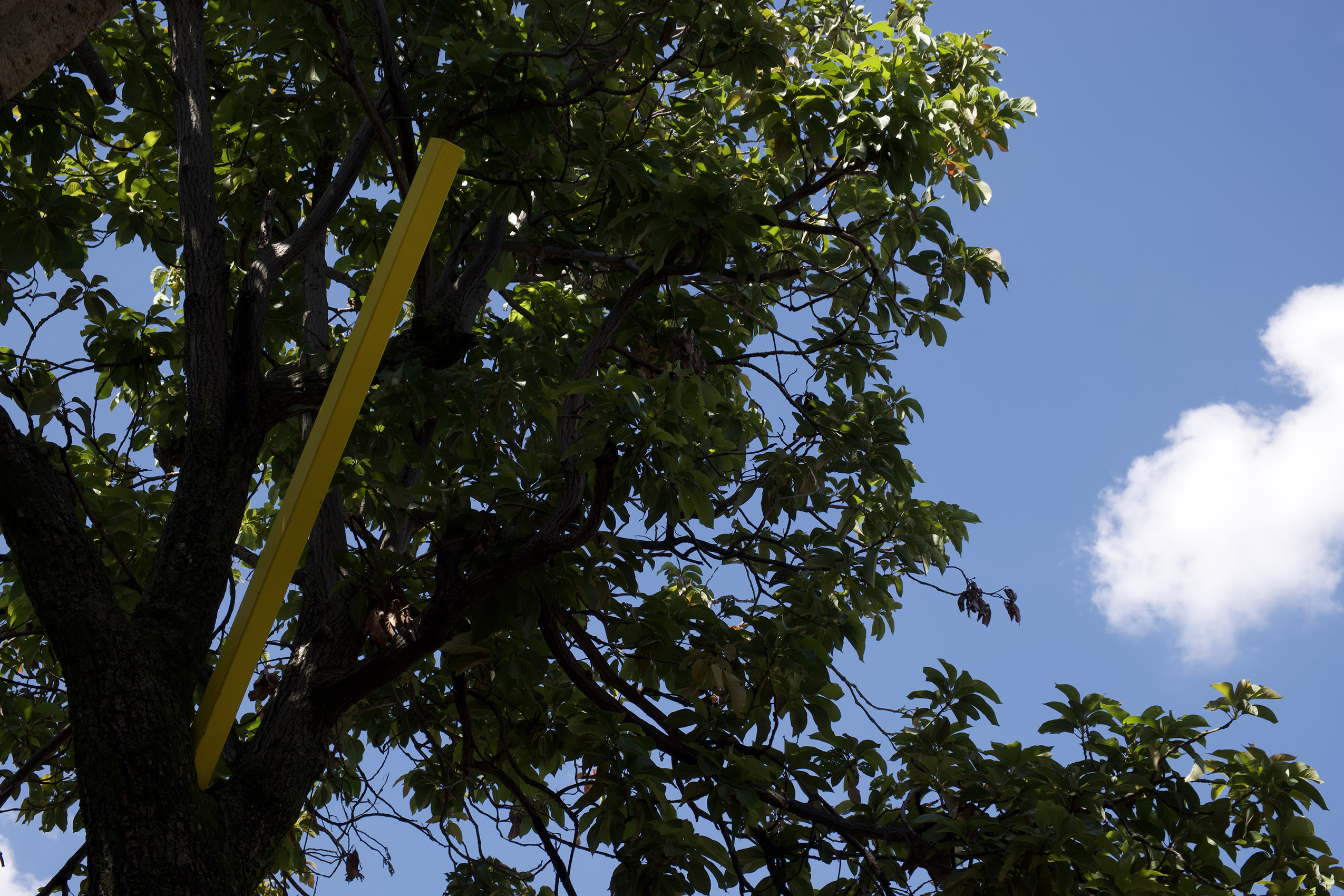 Aprehender lo sensible : Francisco Ugarte