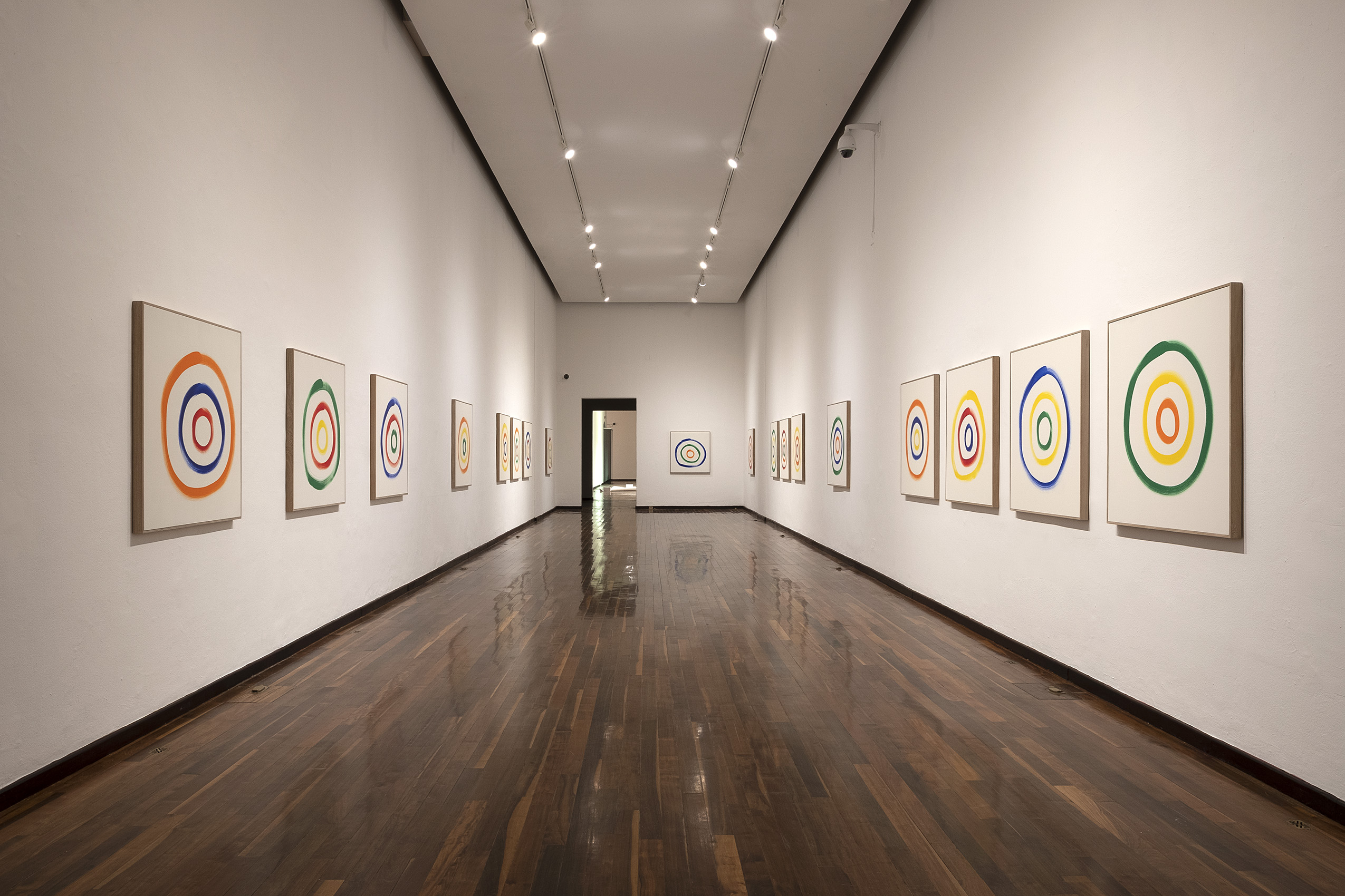 Aprehender lo sensible : Francisco Ugarte