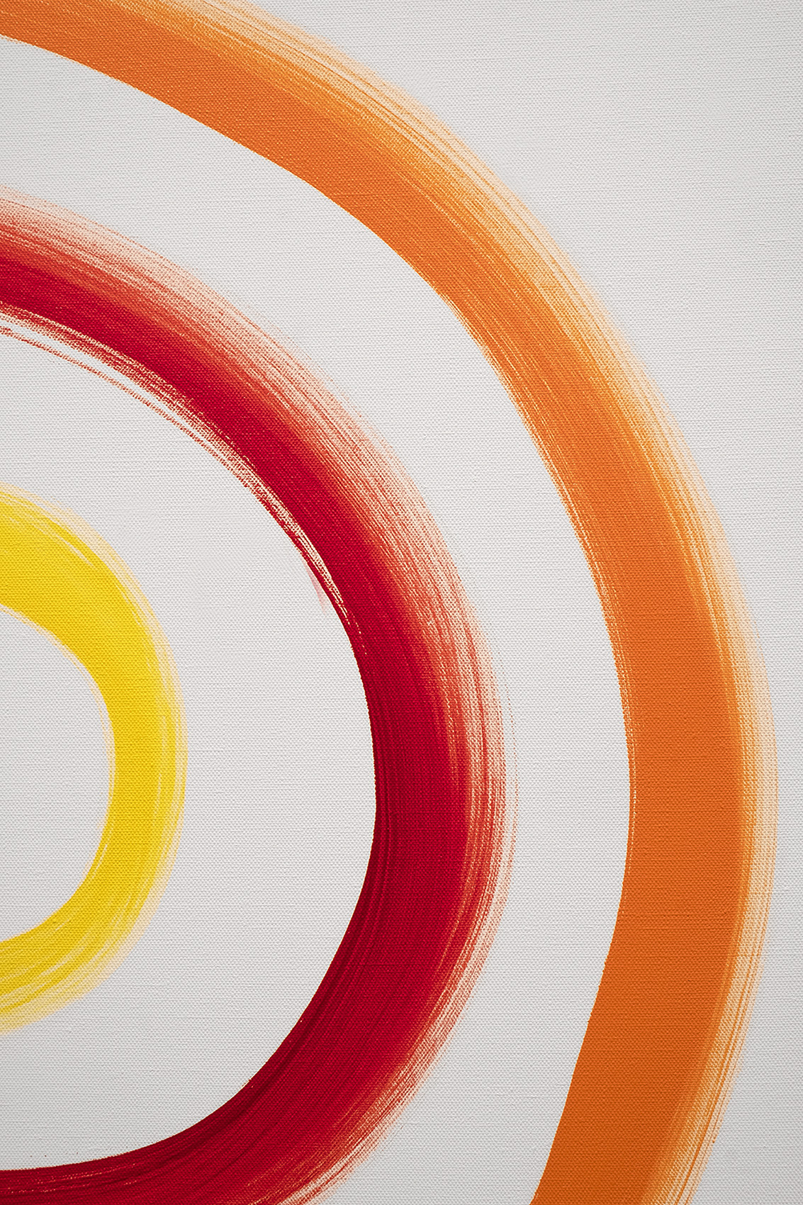 Aprehender lo sensible : Francisco Ugarte