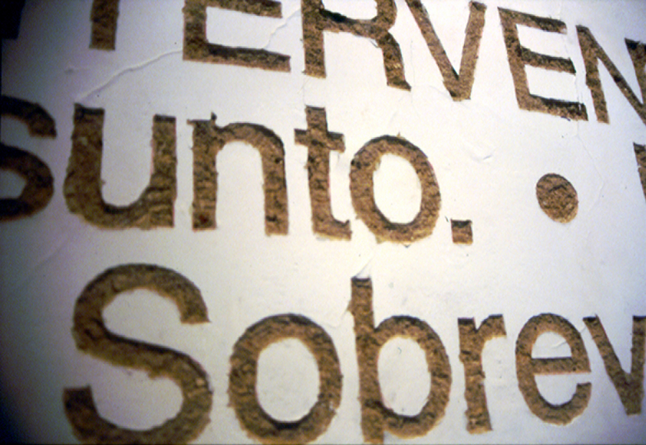 Four rooms : Francisco Ugarte