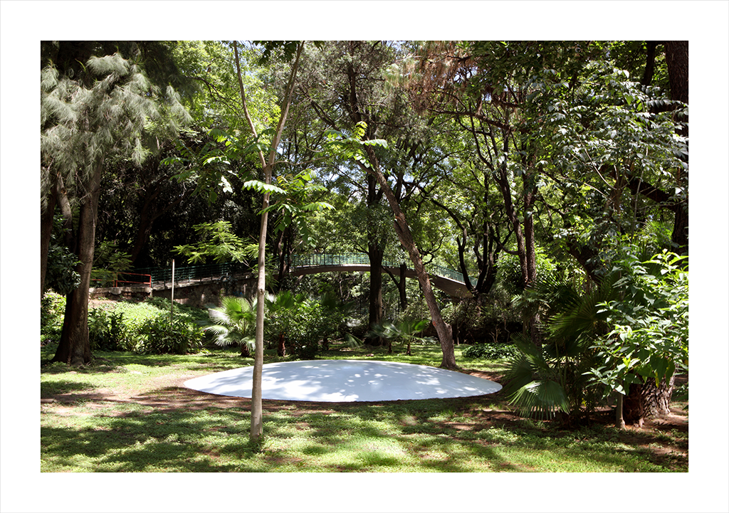 Intervención en el Parque Agua Azul : Francisco Ugarte