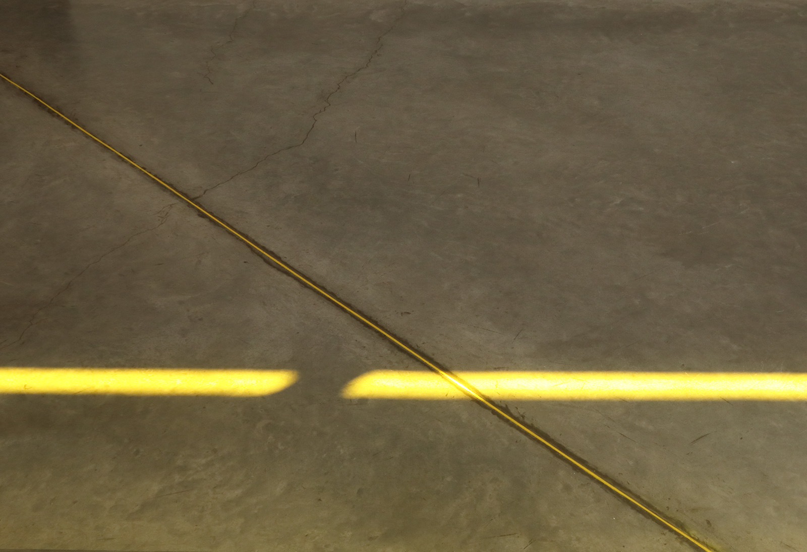 No era aquí : Francisco Ugarte