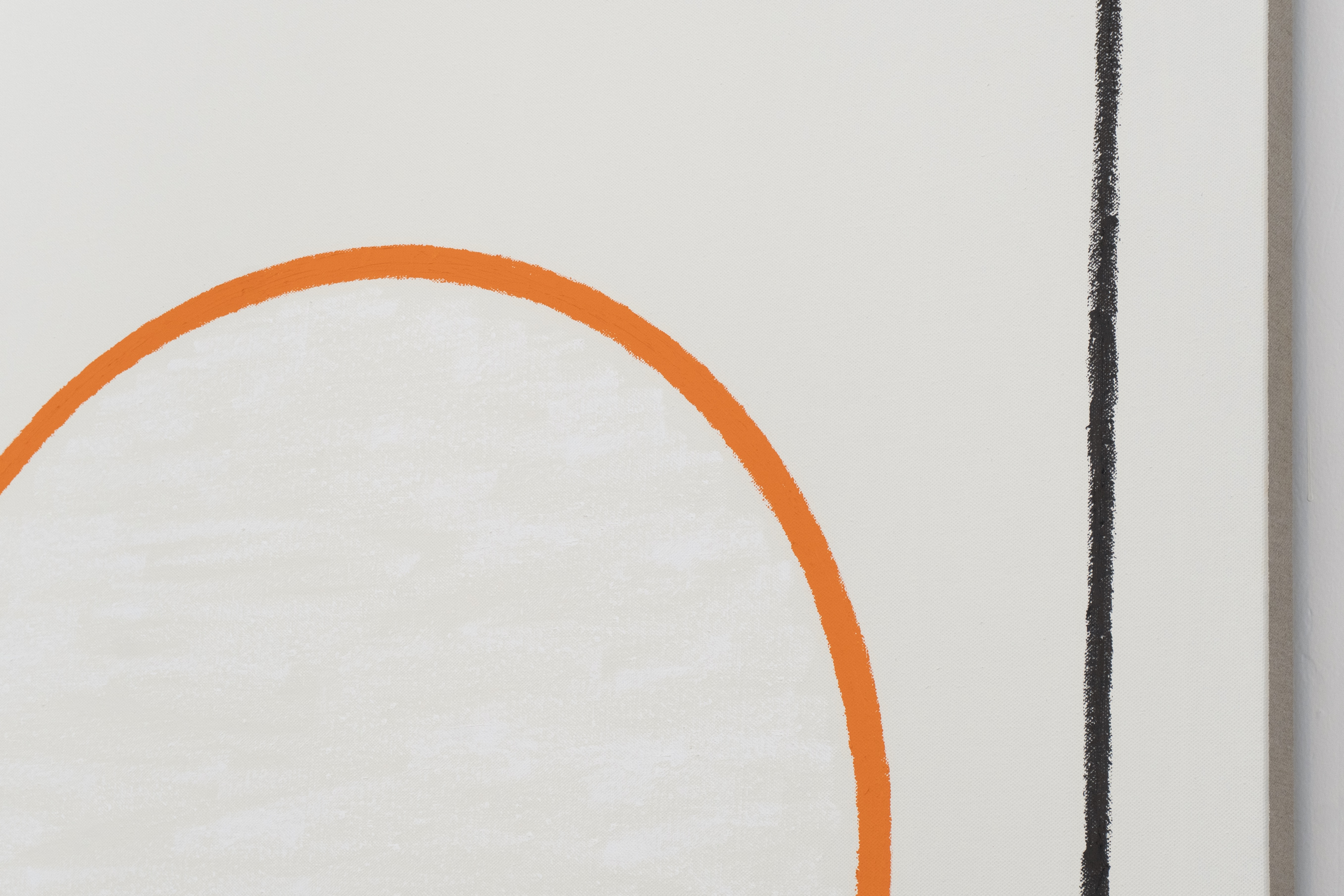 Nothing but the Color of Light : Francisco Ugarte
