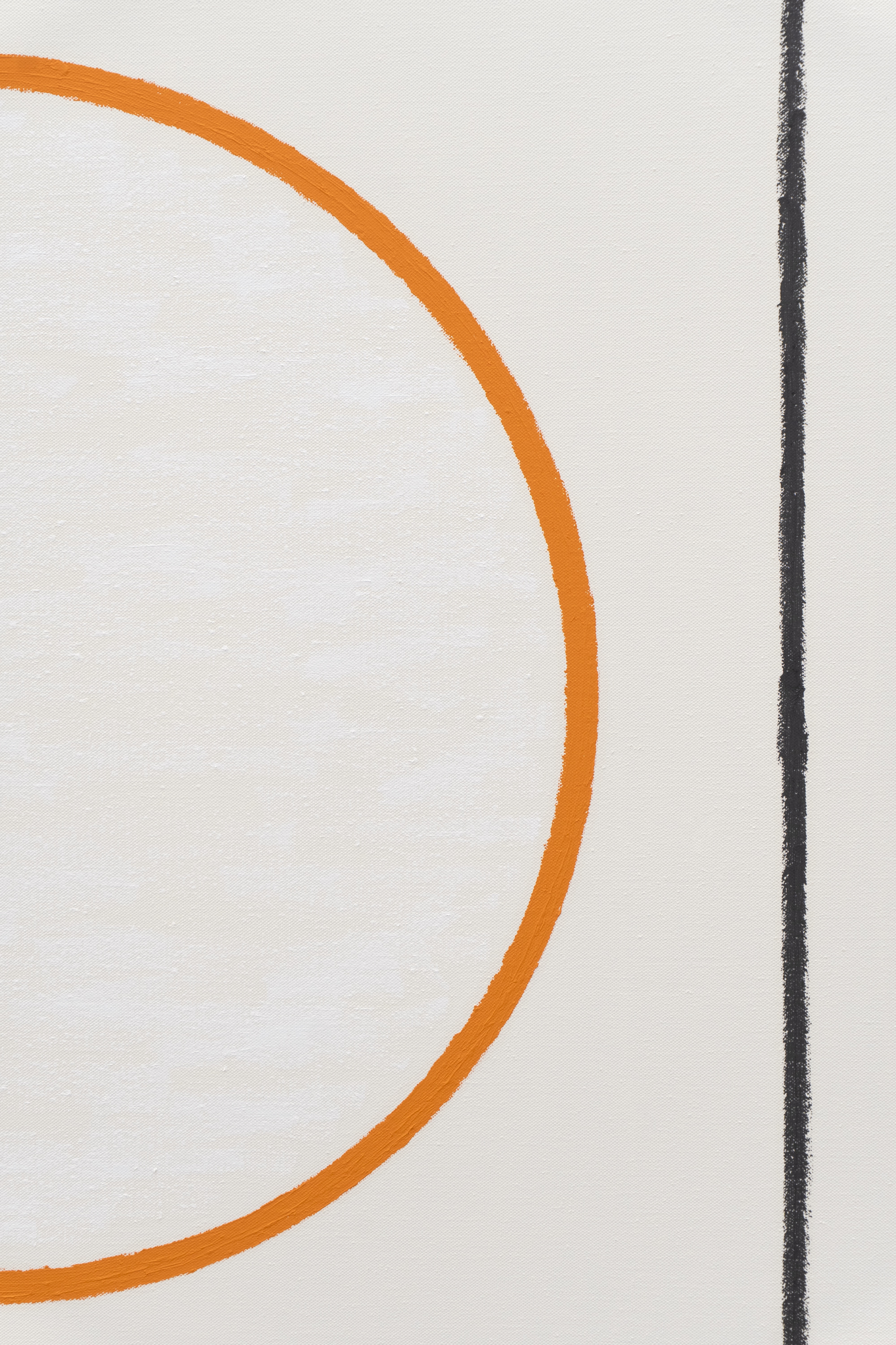 Nothing but the Color of Light : Francisco Ugarte