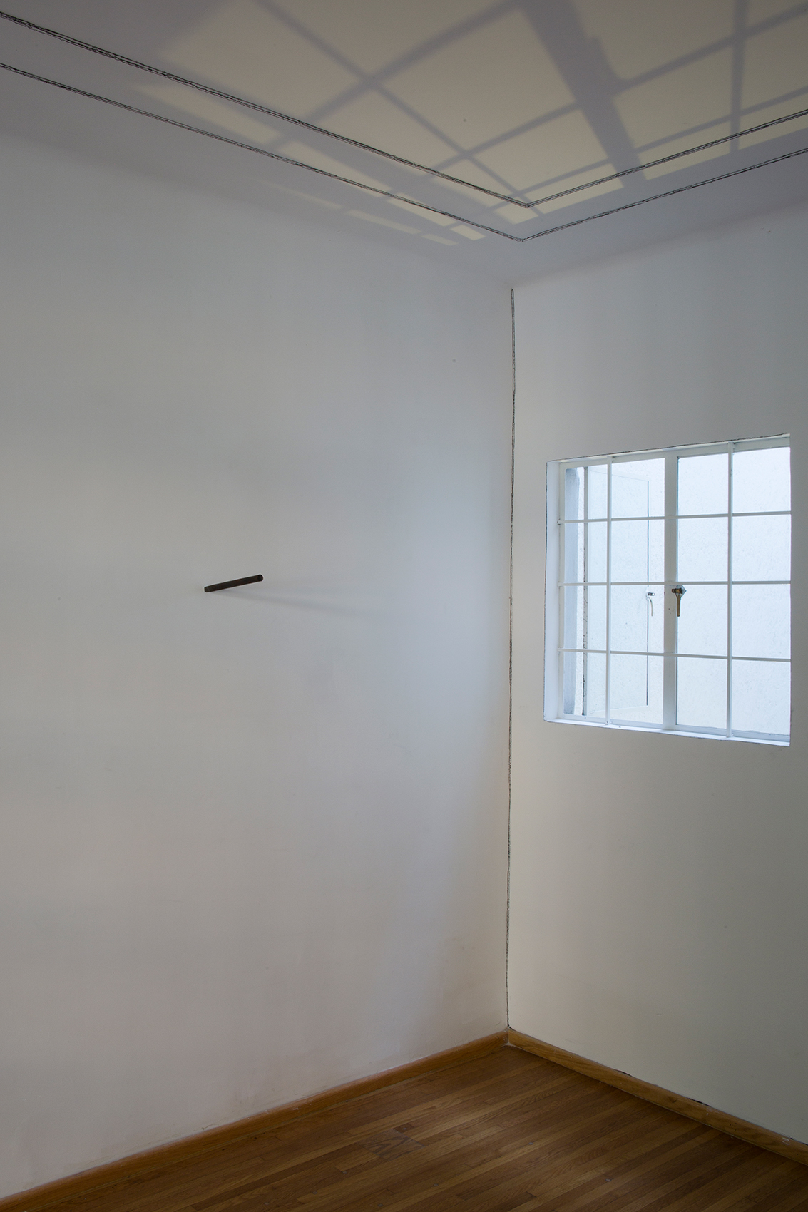 Profunda Atención : Francisco Ugarte