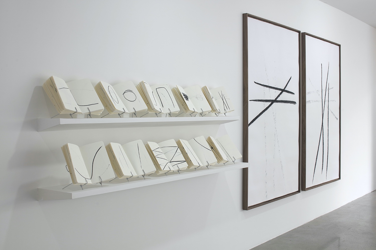 Reflection : Francisco Ugarte