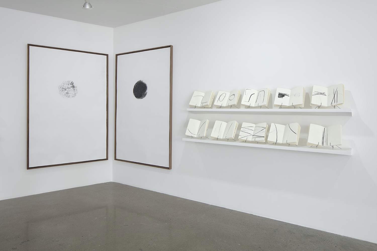 Reflection : Francisco Ugarte