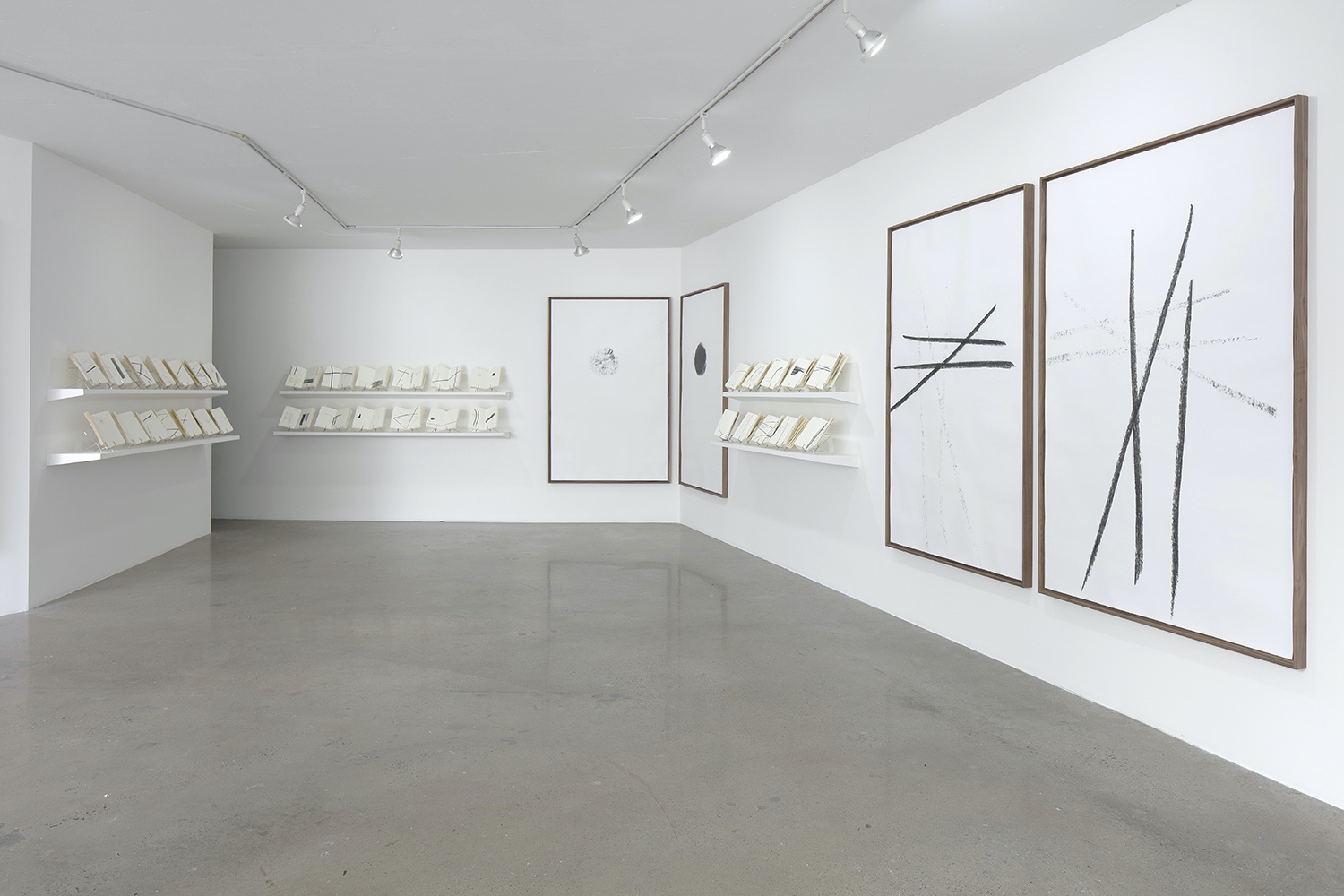 Reflection : Francisco Ugarte