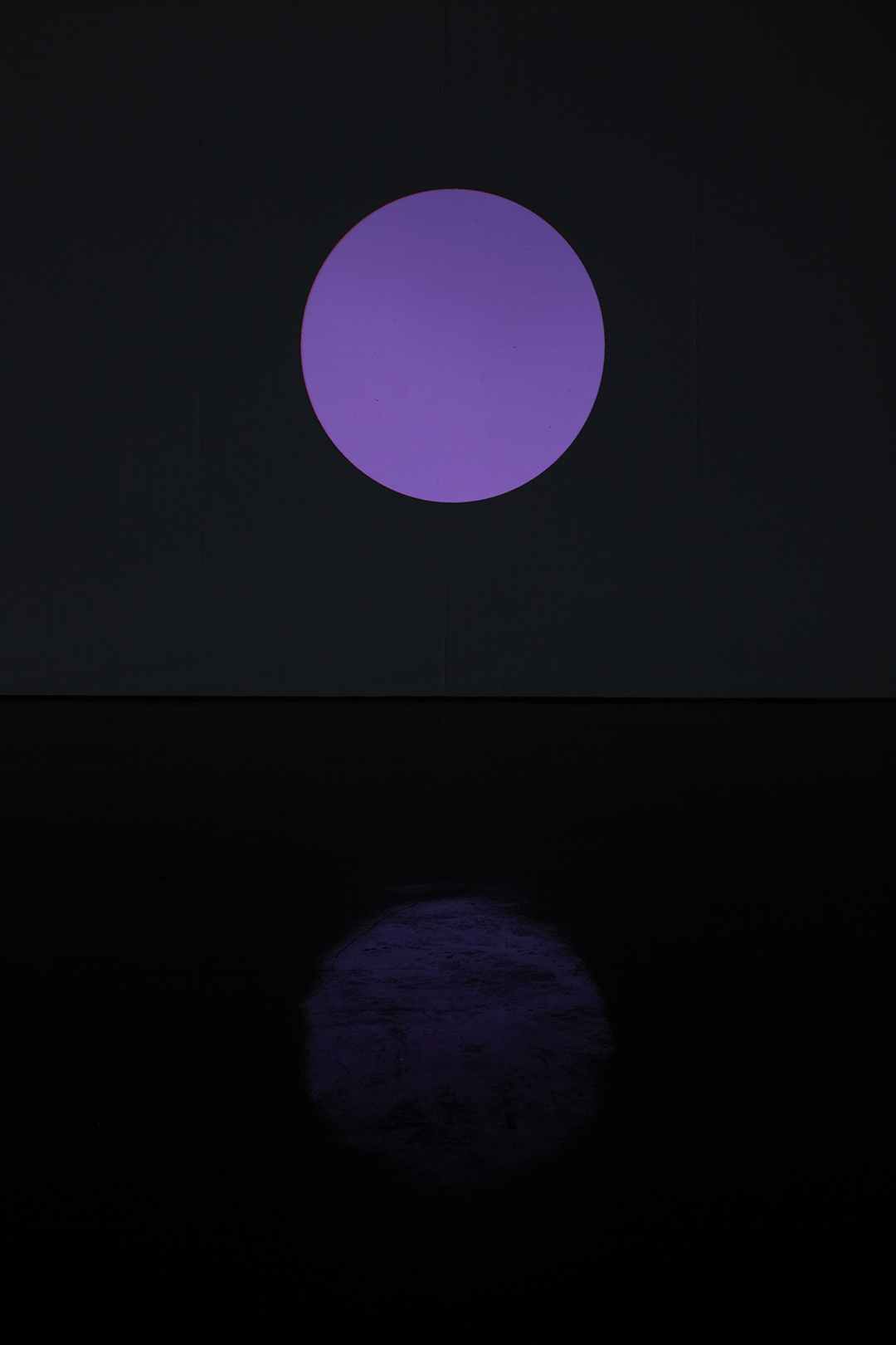 Círculos de colores 1, 2019 : Francisco Ugarte