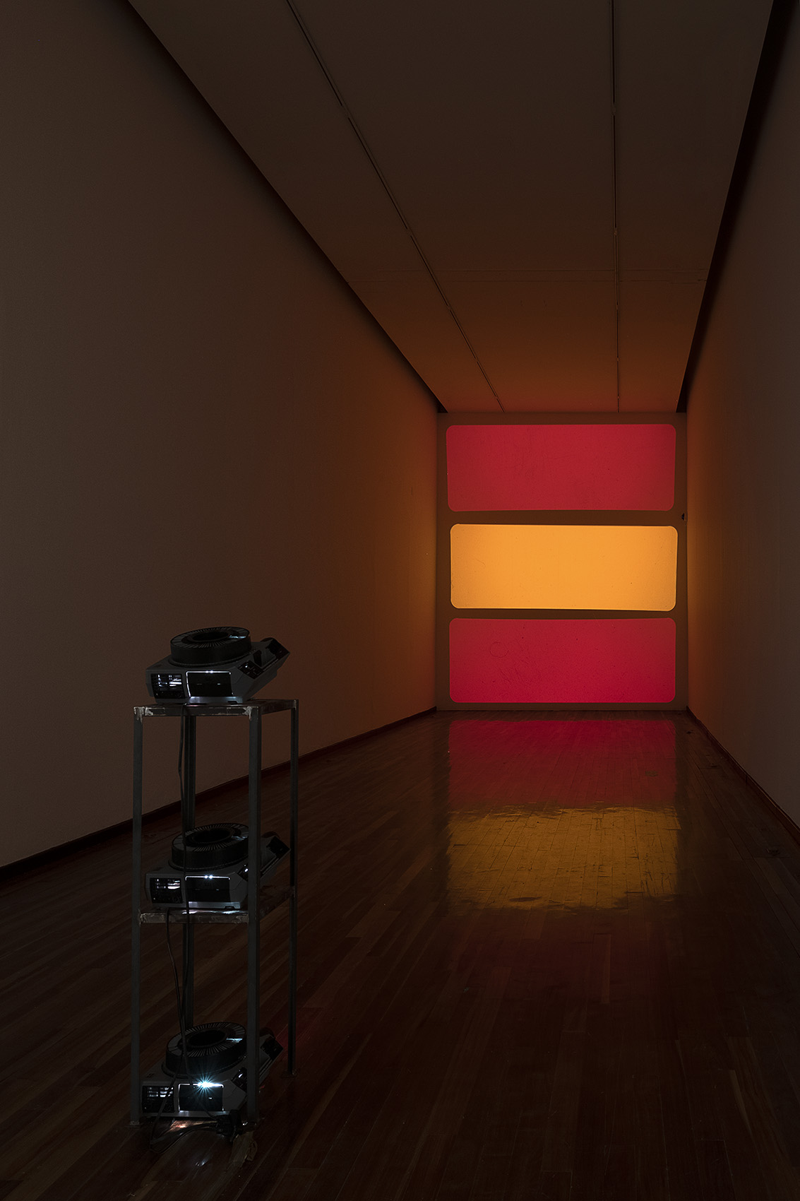 Diapositivas : Francisco Ugarte