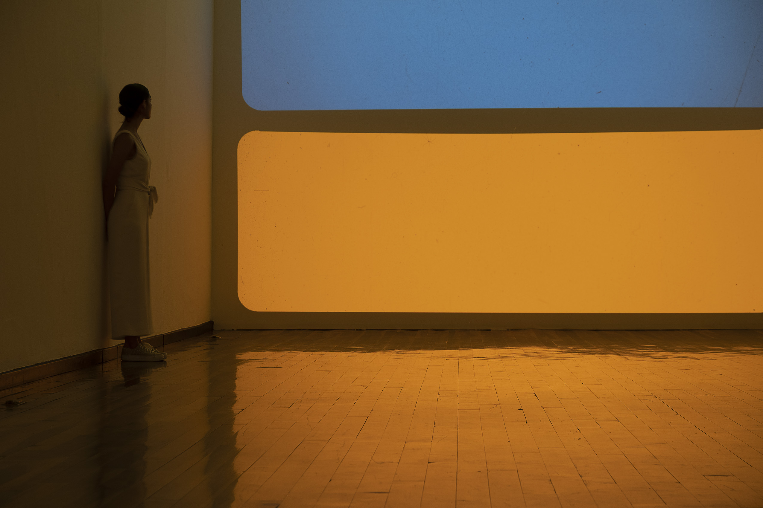 Rectángulos de colores, 2021 : Francisco Ugarte