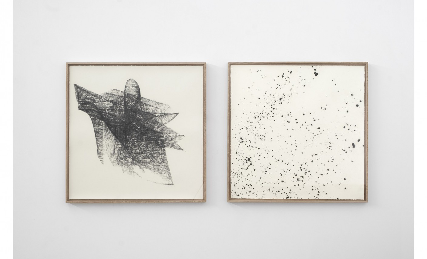 Polvo, 2015 - 2018 : Francisco Ugarte