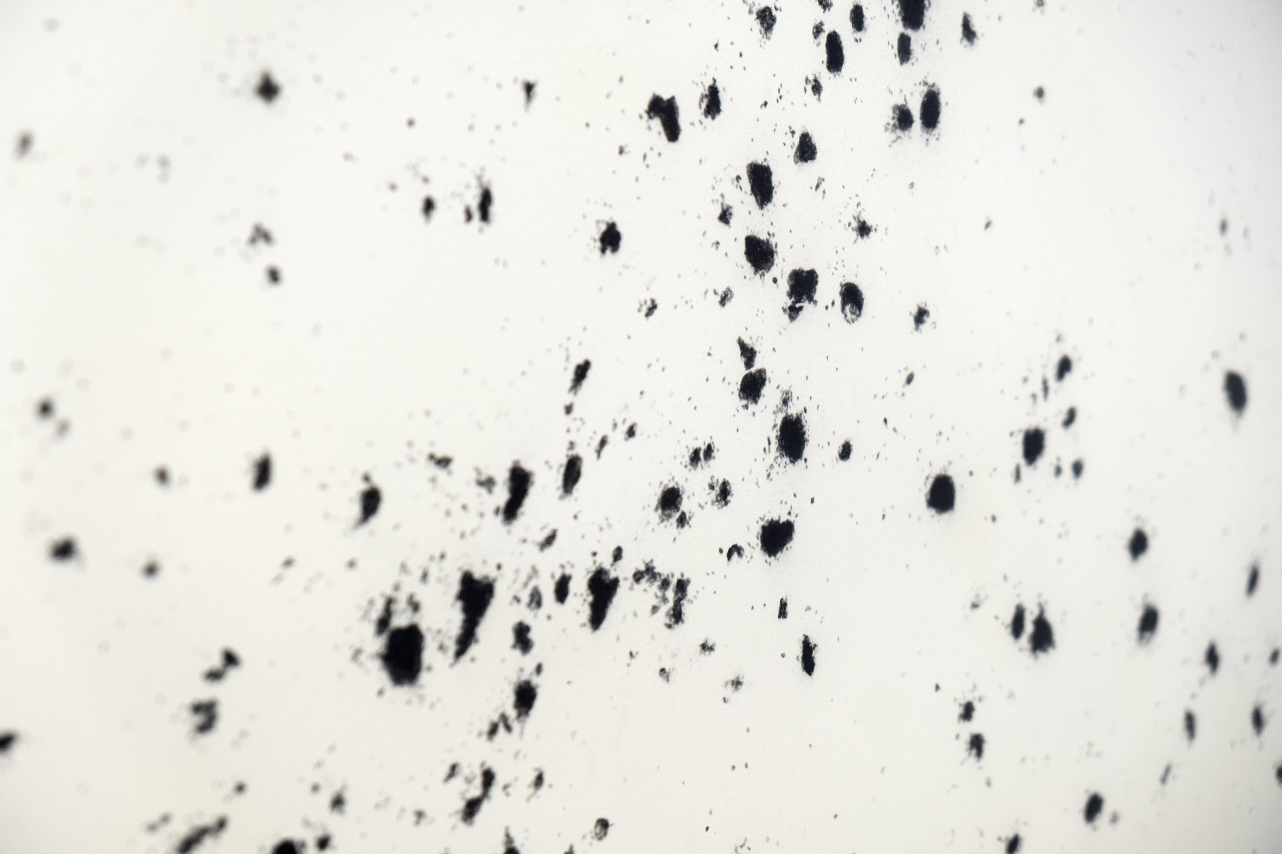 Polvo, 2015 - 2018 : Francisco Ugarte