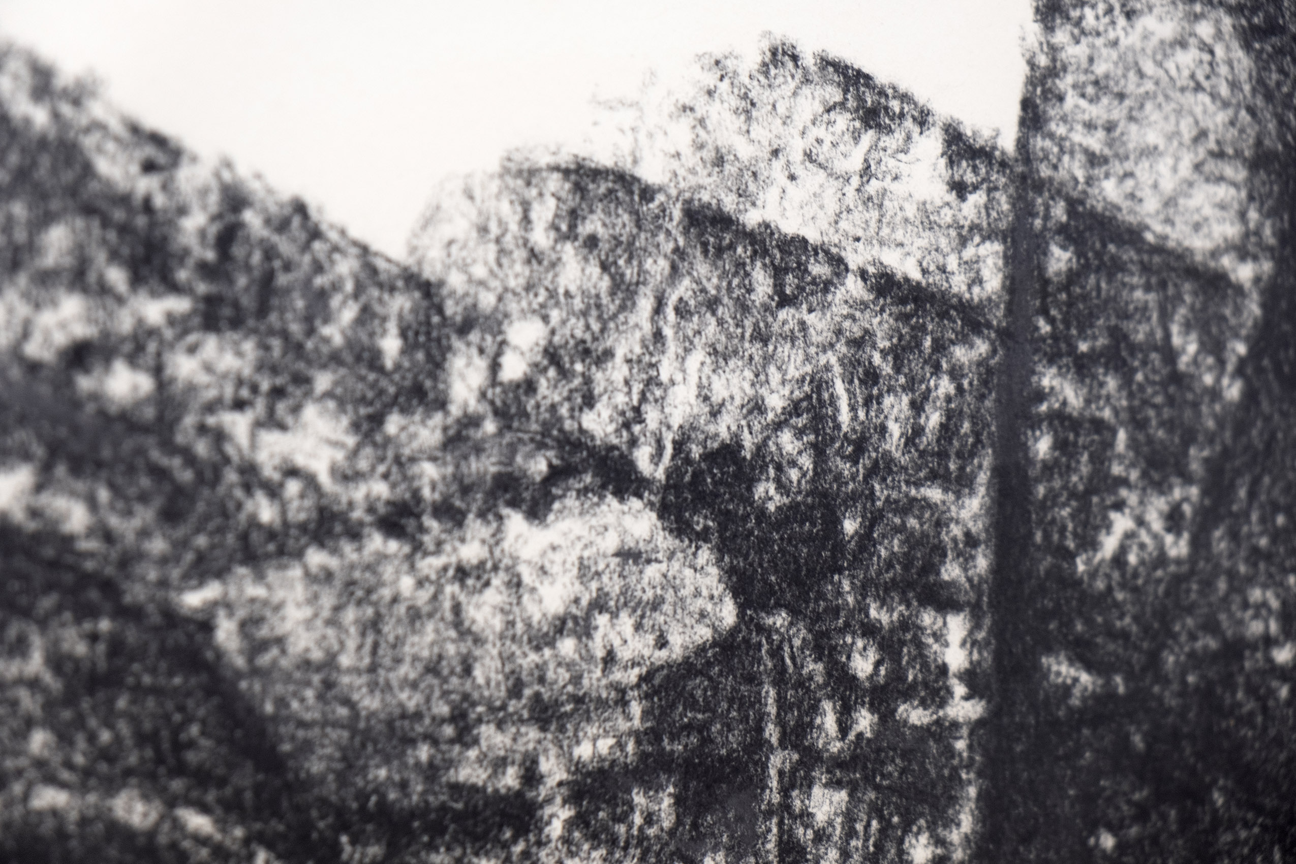 Polvo, 2015 - 2018 : Francisco Ugarte