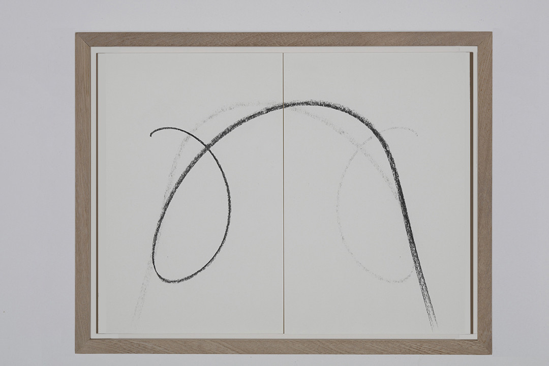 Live reflections, 2019 : Francisco Ugarte