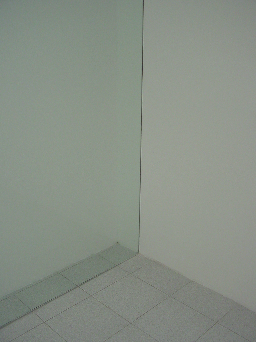 Sin título (Muro reflejante), 2003 : Francisco Ugarte