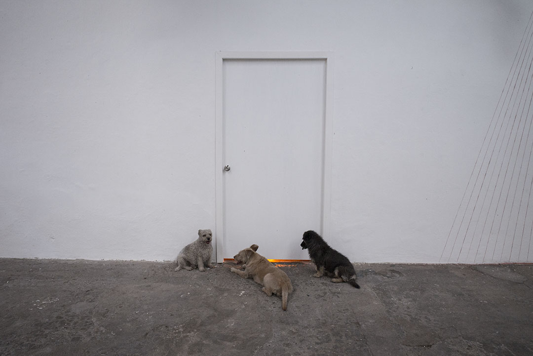 Sin título (Puerta y luz naranja), 2019 : Francisco Ugarte