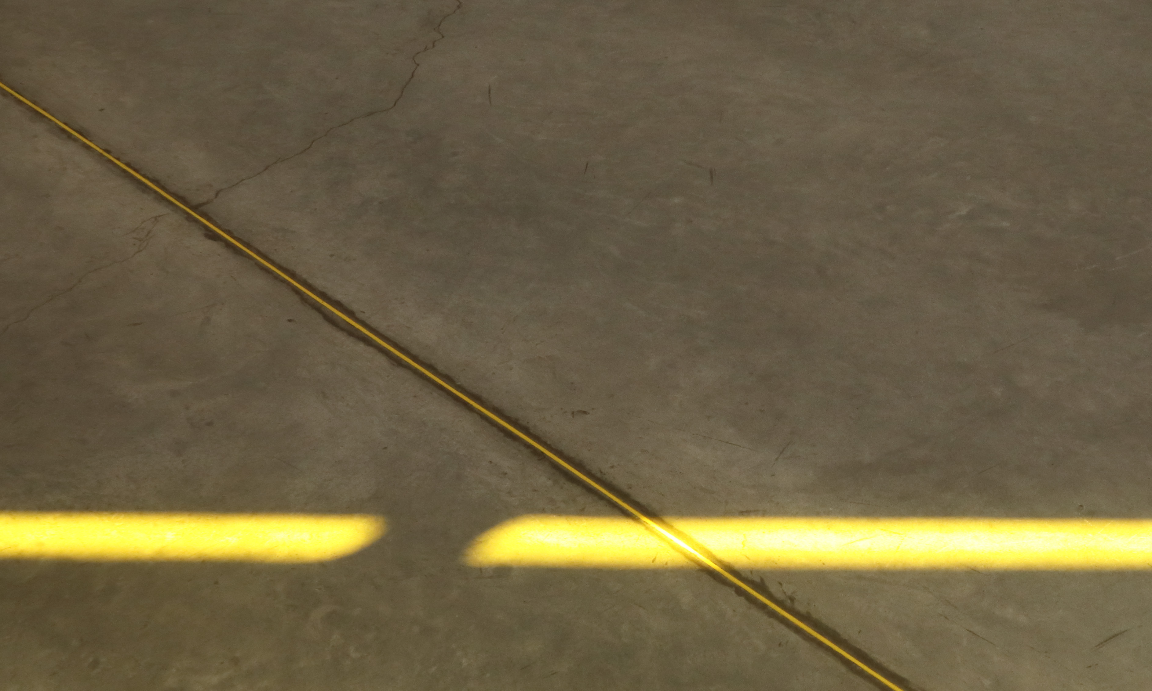 Paisaje amarillo, 2025 : Francisco Ugarte