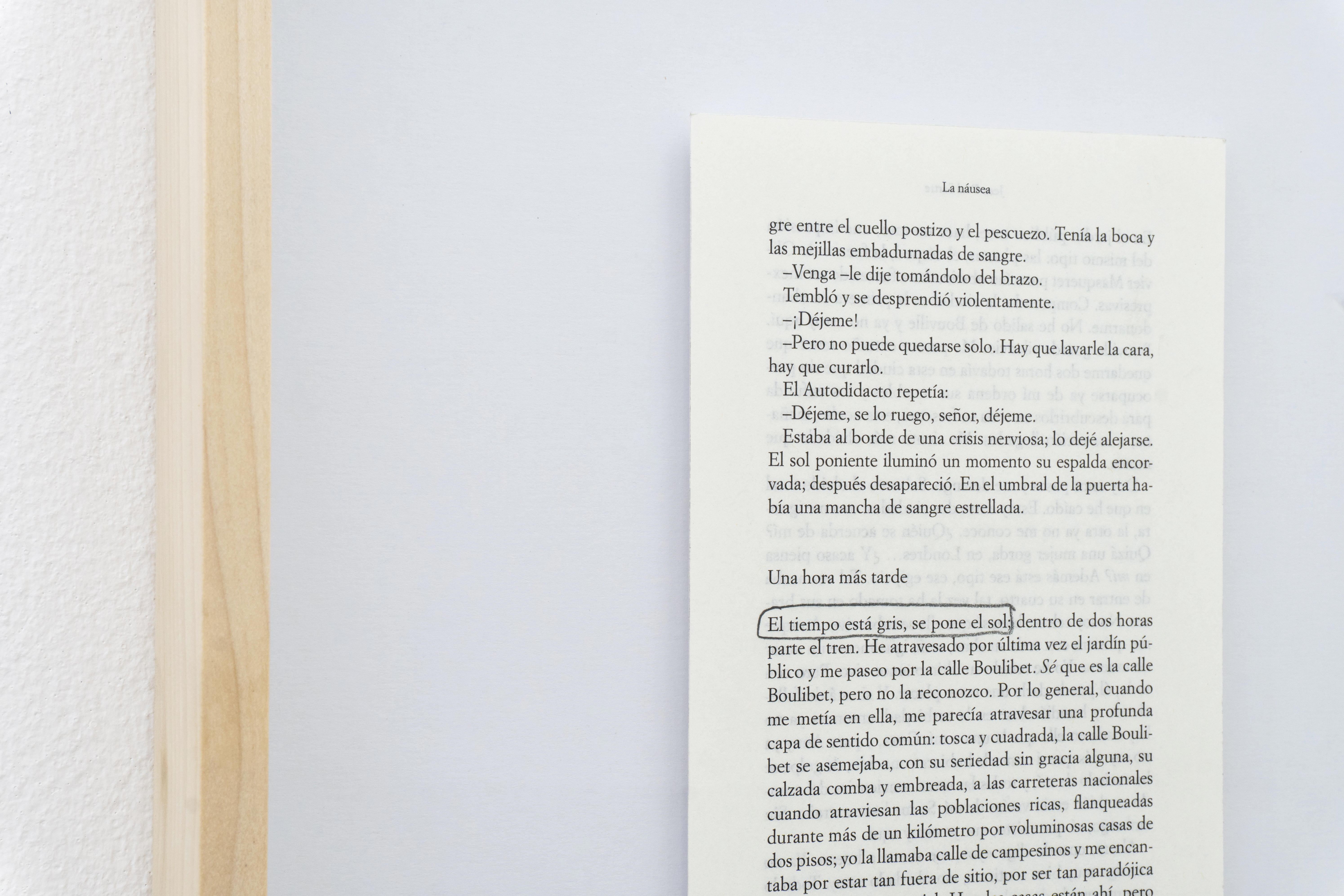 Paisajes literarios (La náusea, Jean-Paul Sartre), libro, 2026 : Francisco Ugarte