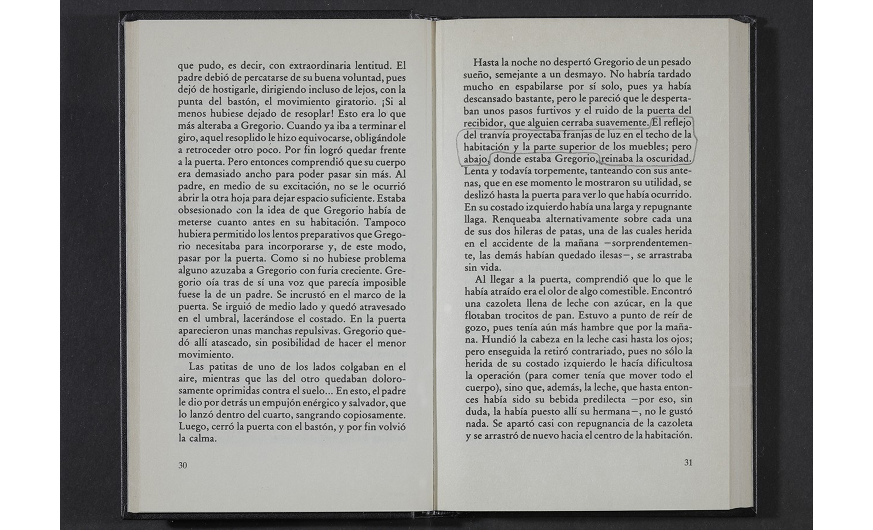 Paisajes literarios (La transformación, Franz Kafka), libro, 2015 : Francisco Ugarte