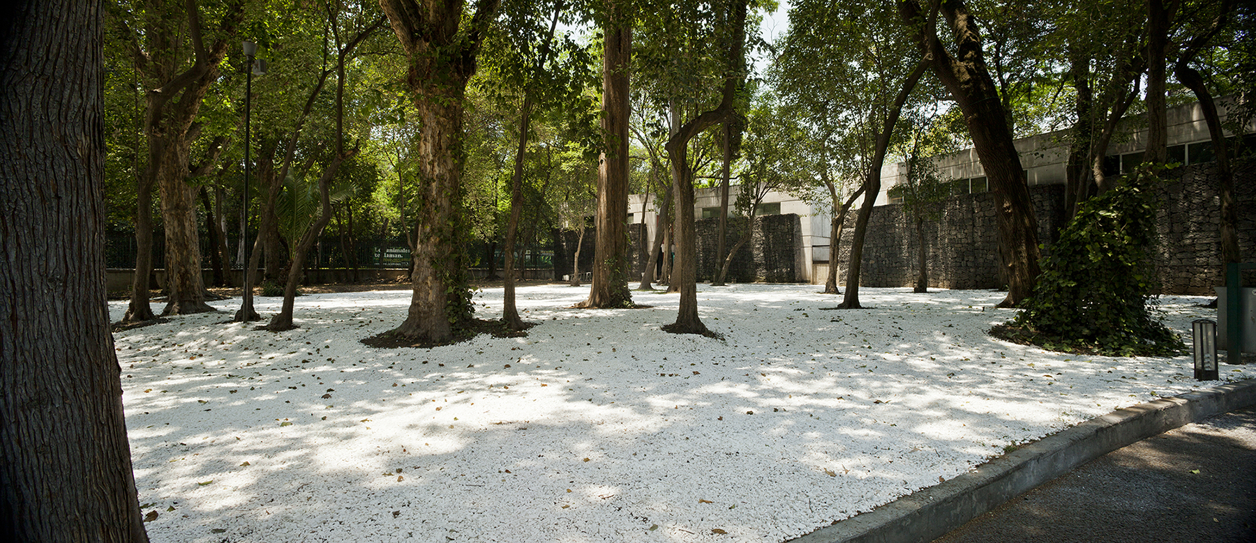 Capítulo sugerido, 2013 : Francisco Ugarte