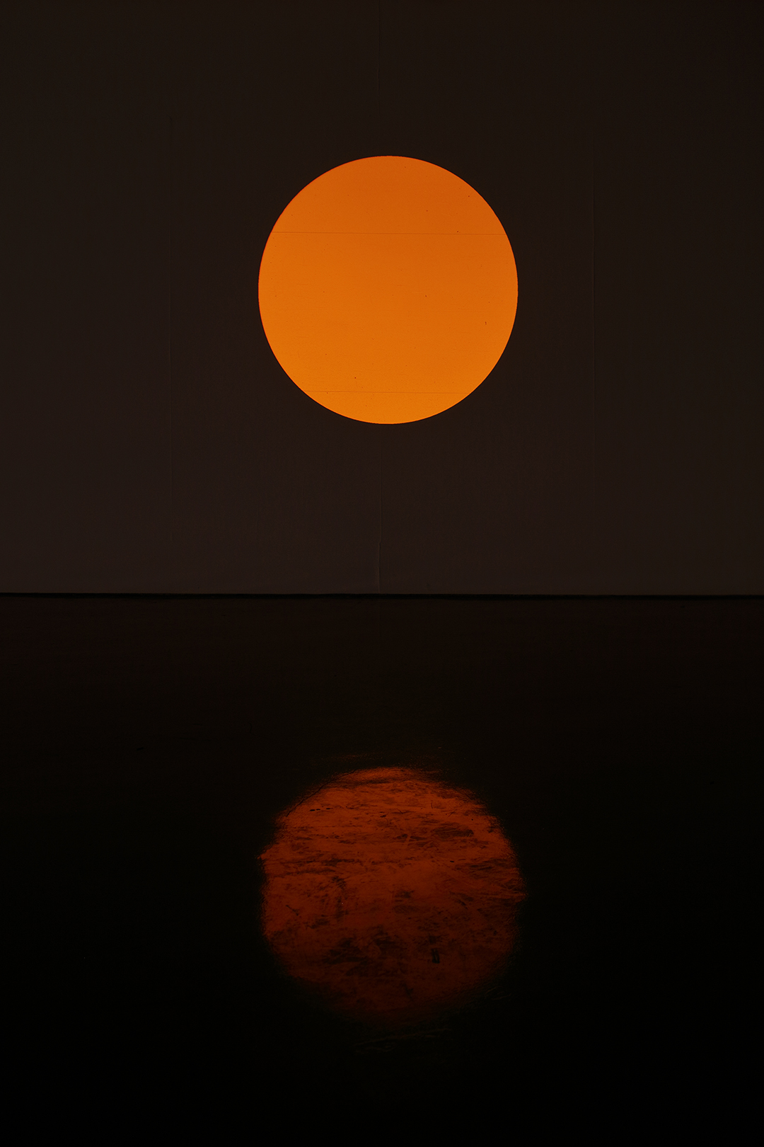 Sitio Específico : Francisco Ugarte