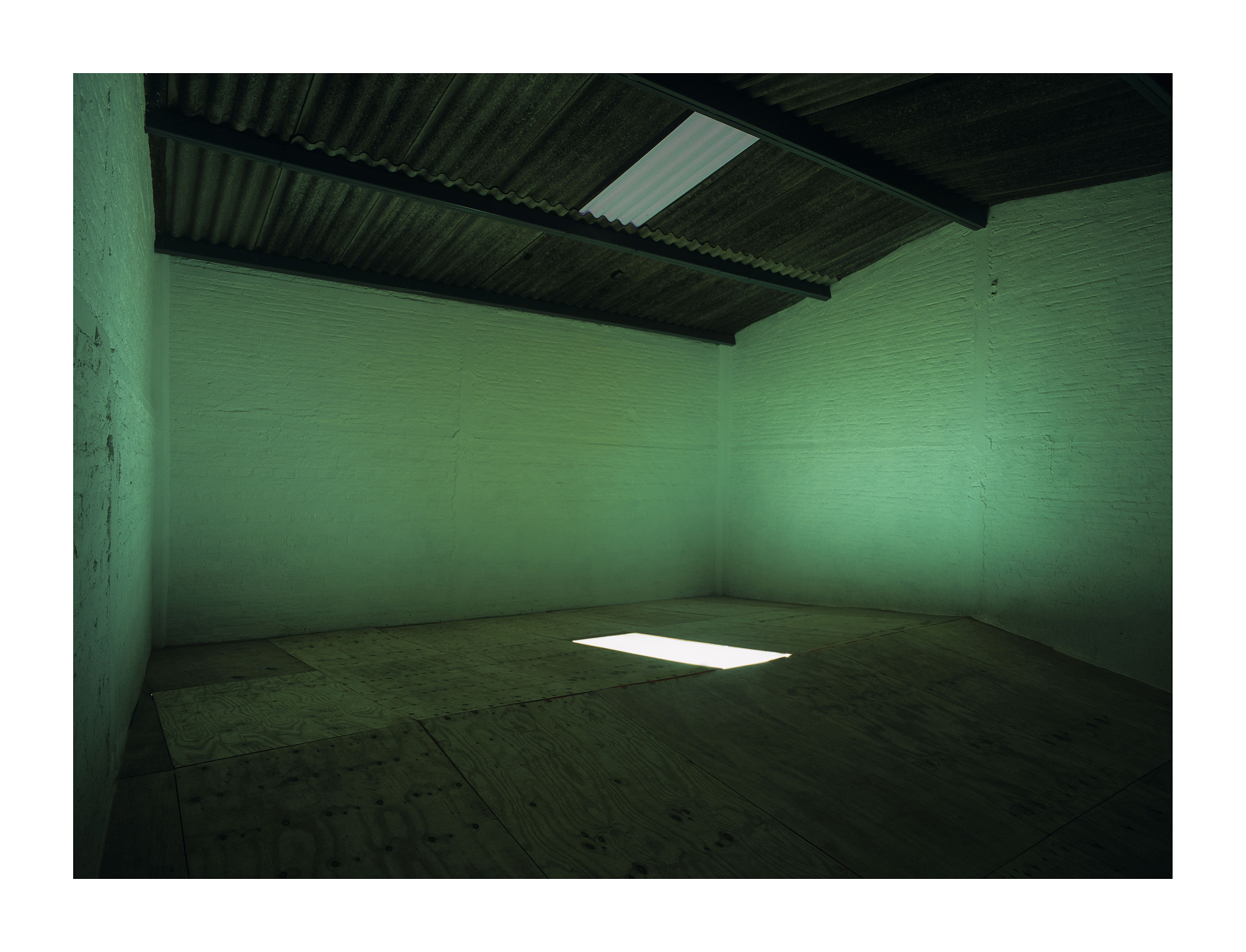 Diálogo, 2007 : Francisco Ugarte