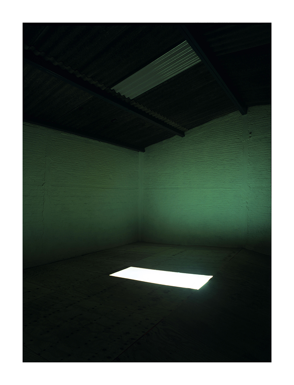 Diálogo, 2007 : Francisco Ugarte