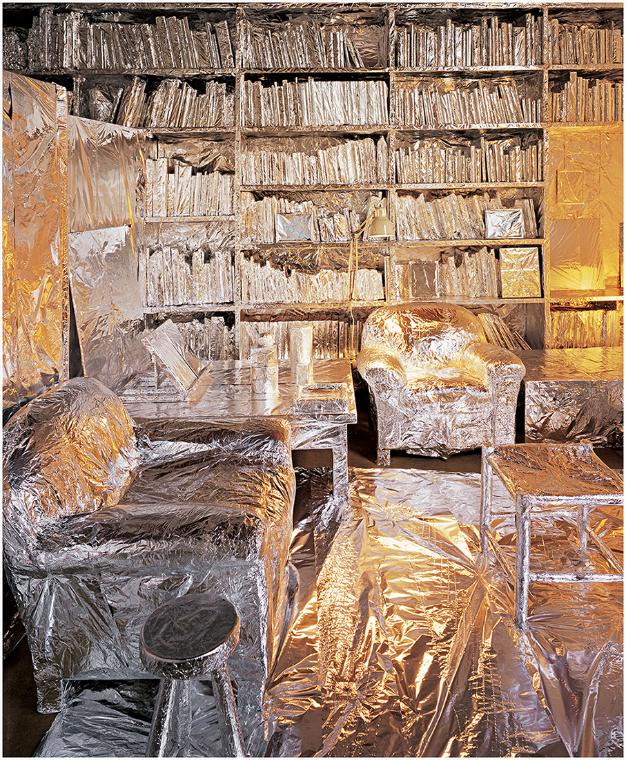 Intervención a la Casa Barragán, 2010 : Francisco Ugarte