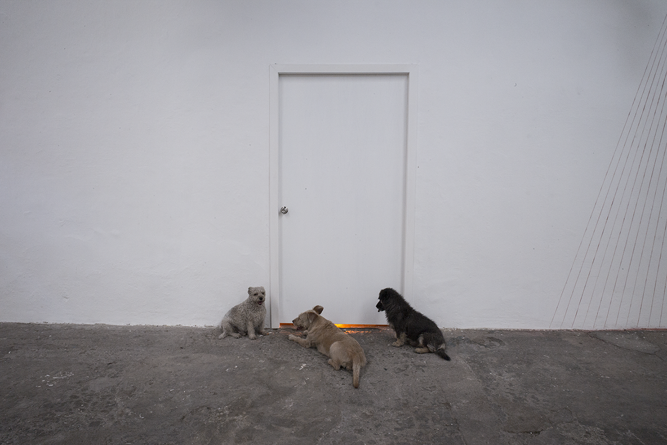 The light above us, 2019 : Francisco Ugarte