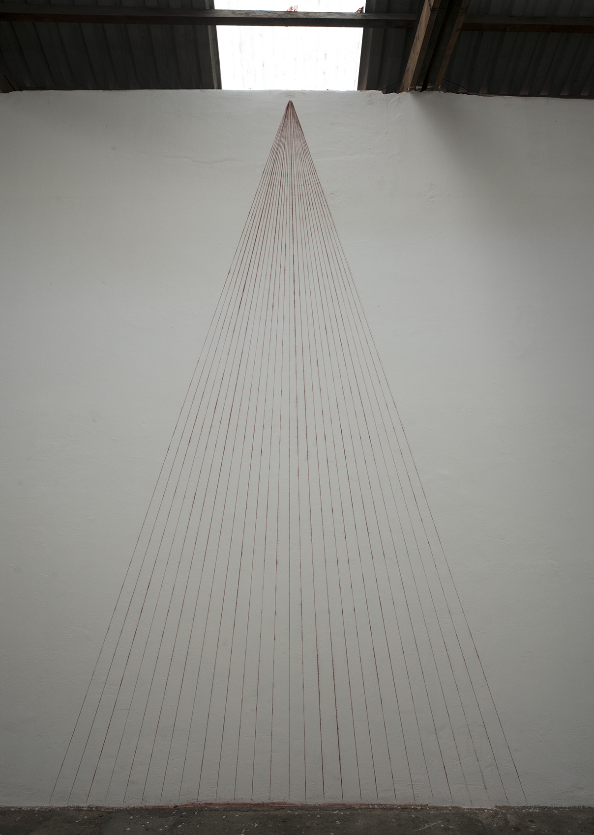 The light above us, 2019 : Francisco Ugarte