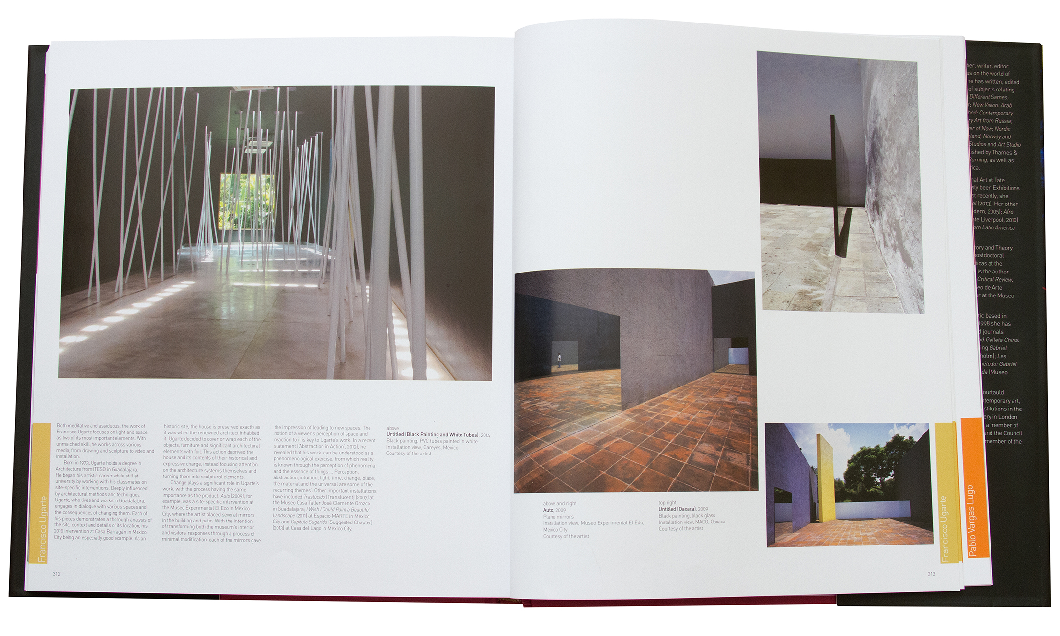 Libro CONTEMPORARY ART MEXICO : Francisco Ugarte