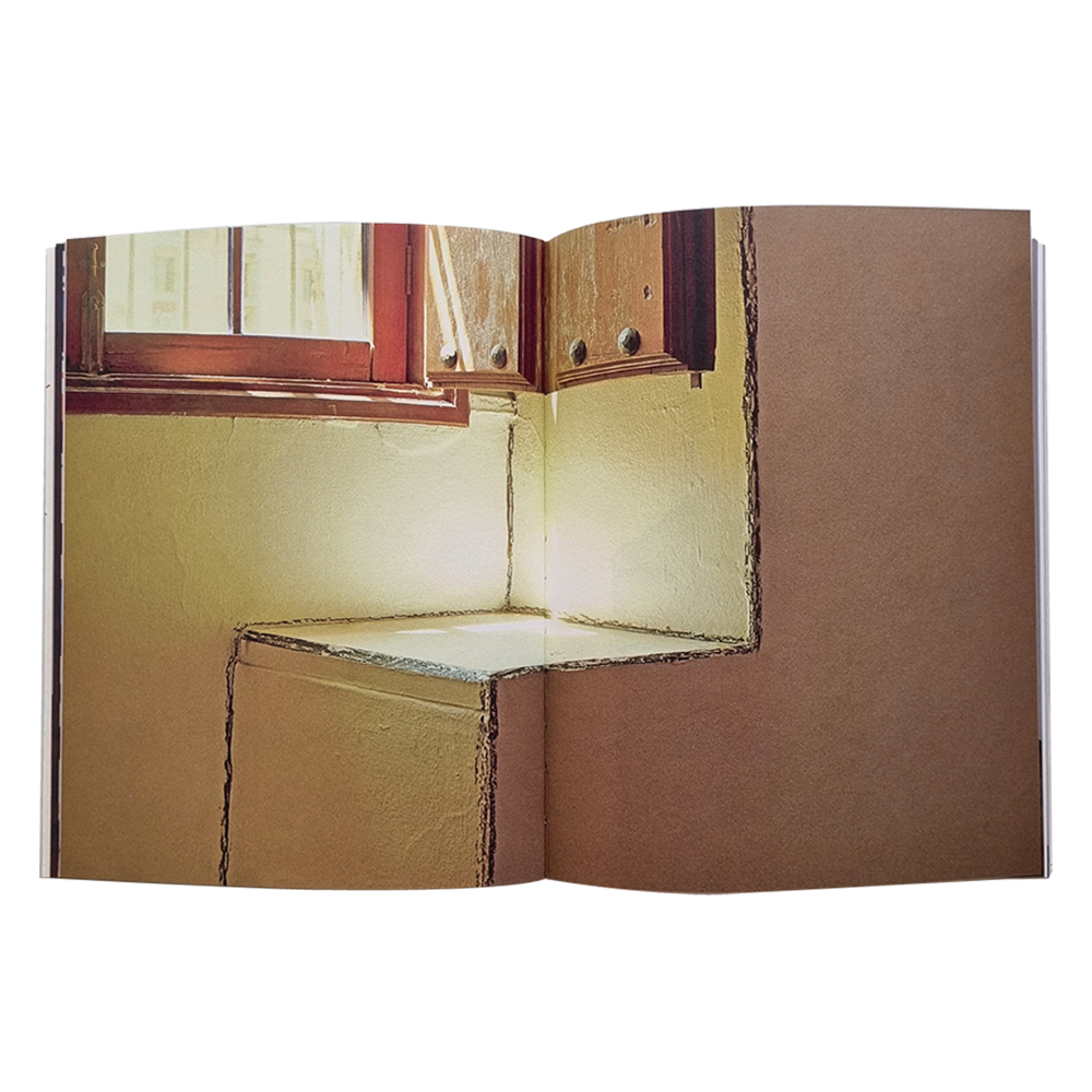 Publicación del libro APREHENDER LO SENSIBLE : Francisco Ugarte